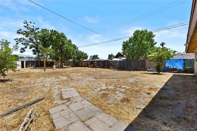 315 S Mistletoe Ave, San Jacinto, CA 92583 - view of yard