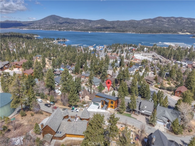 40564 Ironwood Rd, Big Bear Lake, CA 92315 - photo 4