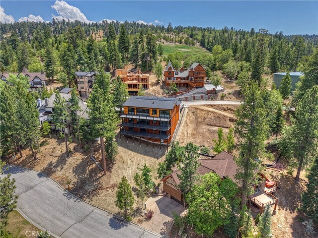 40564 Ironwood Rd, Big Bear Lake, CA 92315 - photo 8