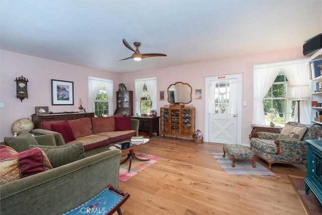 living room with a wealth of natural light, light hardwood / wood-style flooring, and ceiling fan