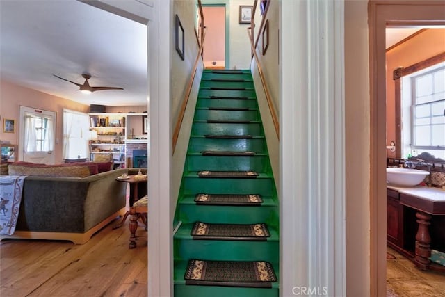 stairs with ceiling fan, sink, and wood-type flooring