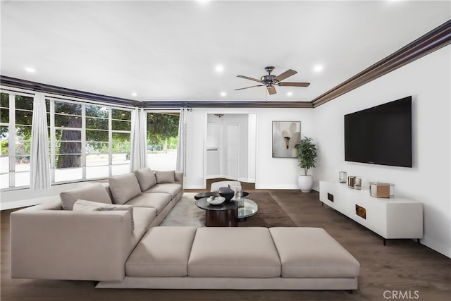living room with ceiling fan, a wealth of natural light, and crown molding