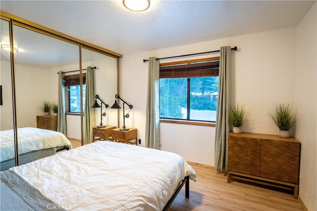 bedroom featuring a closet and wood finished floors