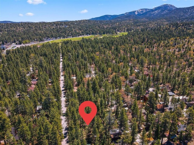 bird's eye view featuring a mountain view