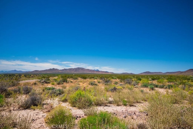 0 Mable Ln, Tecopa, CA 92389 - photo 12