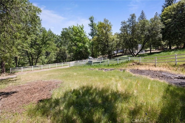 view of yard featuring a rural view