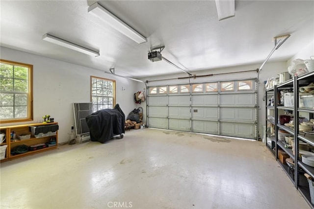 garage with a garage door opener