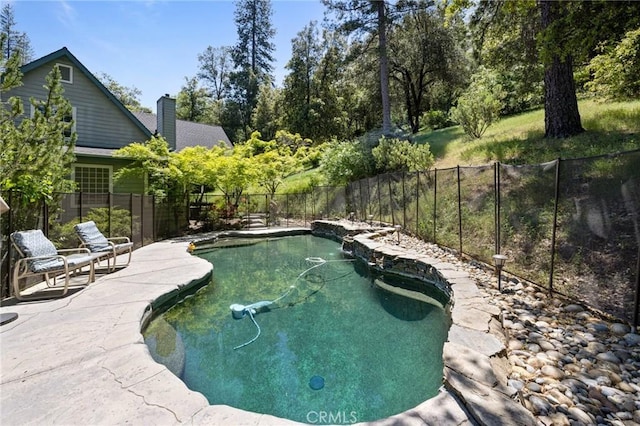 view of pool with a patio