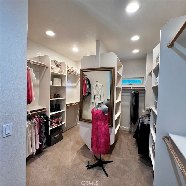 walk in closet with carpet flooring