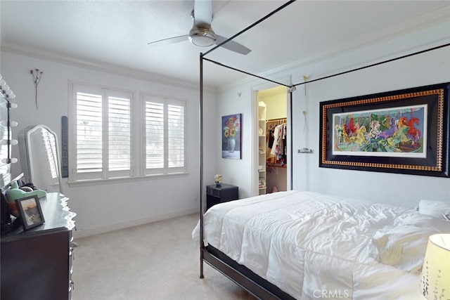 carpeted bedroom with ceiling fan, a closet, a walk in closet, and ornamental molding