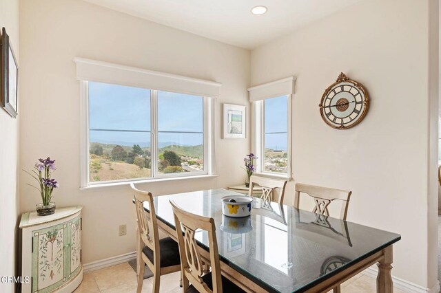 tiled dining area featuring plenty of natural light