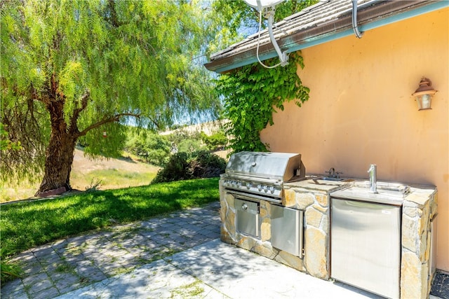 view of patio featuring an outdoor kitchen