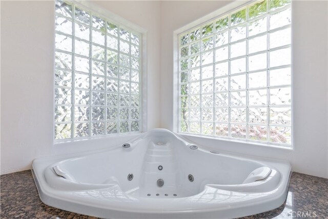 bathroom with a bathing tub