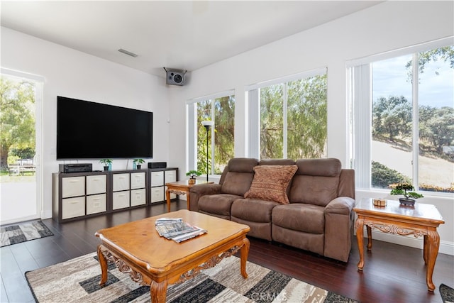 living room featuring dark wood-type flooring