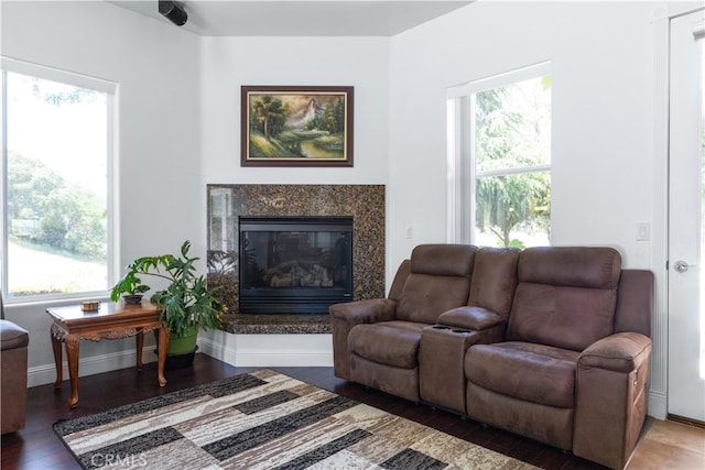 living room with dark hardwood / wood-style floors and a high end fireplace