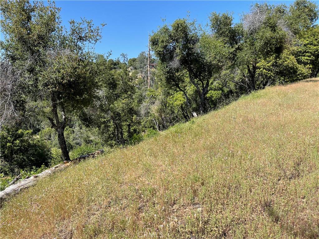 54 Rd 416, Coarsegold, CA 93614 - photo 1