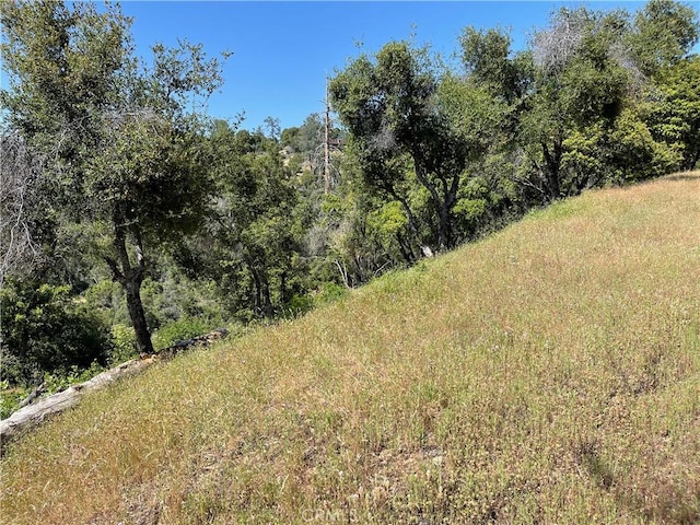 54 Rd 416, Coarsegold CA, 93614 land for sale