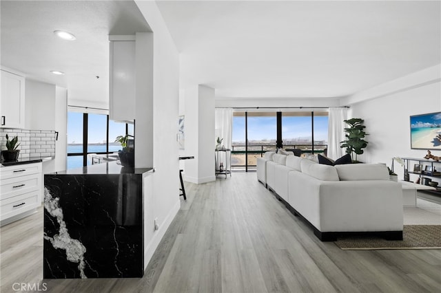 living room featuring a water view, a healthy amount of sunlight, and light hardwood / wood-style floors