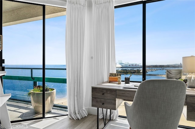 home office with a water view and light hardwood / wood-style floors