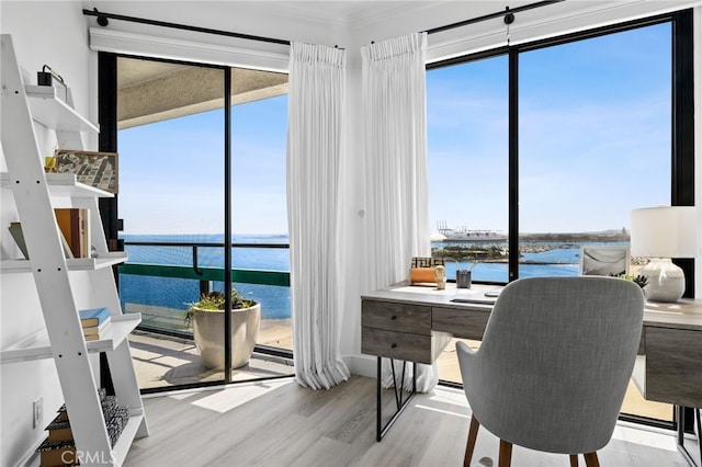 home office with light hardwood / wood-style flooring and a water view