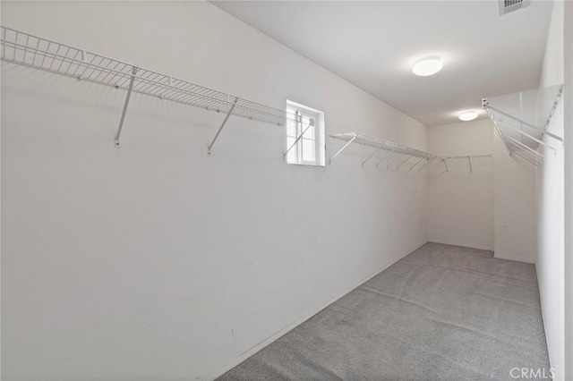 walk in closet with light colored carpet