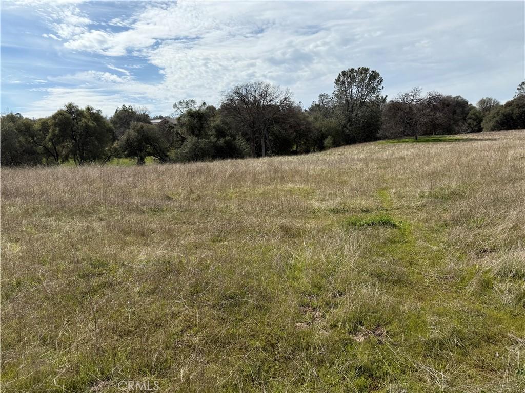 64 Victoria Ln, Oakhurst, CA 93644 - photo 2