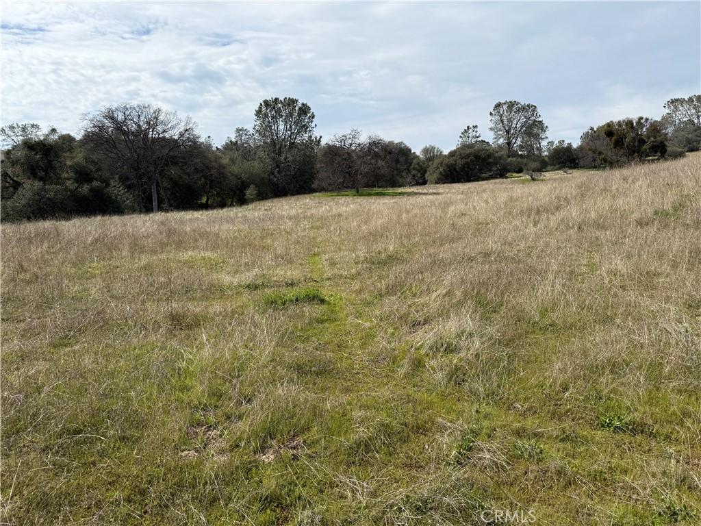 64 Victoria Ln, Oakhurst, CA 93644 - photo 1