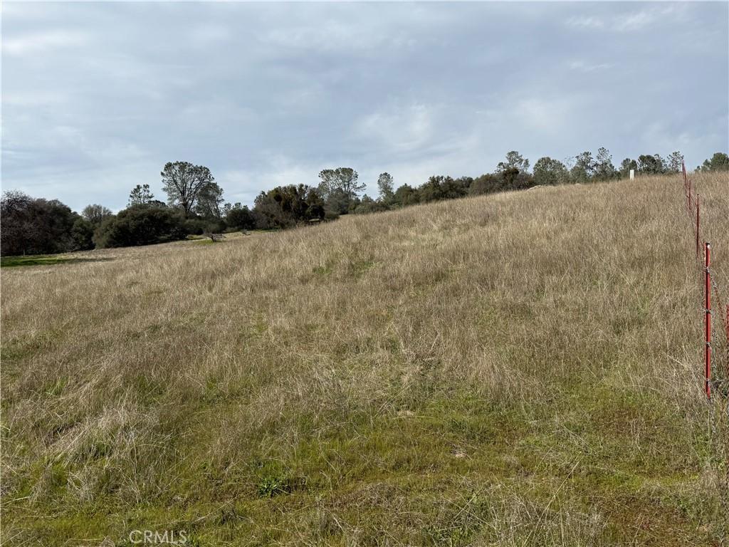 64 Victoria Ln, Oakhurst, CA 93644 - photo 3