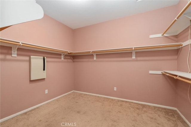 spacious closet with carpet floors