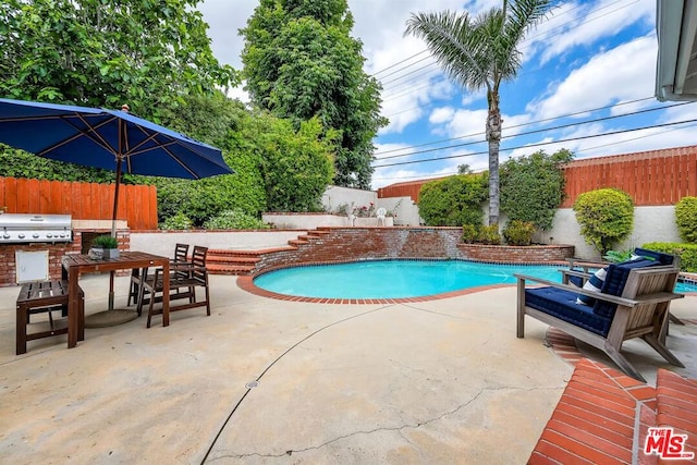 view of pool featuring a patio area and a grill