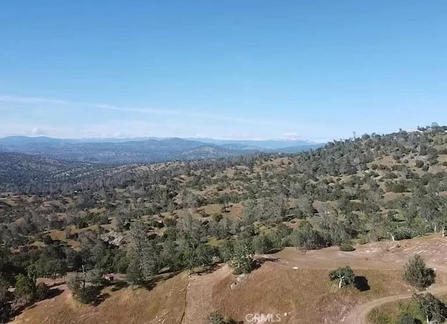 29777 Lilley Mountain Ct, Coarsegold, CA 93614 - photo 25