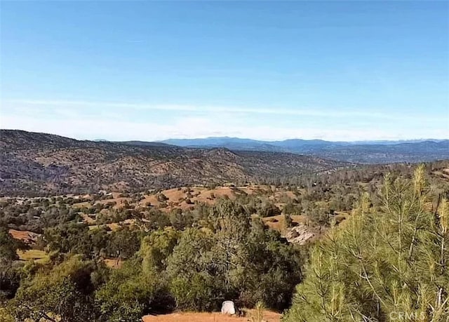 29777 Lilley Mountain Ct, Coarsegold, CA 93614 - photo 11