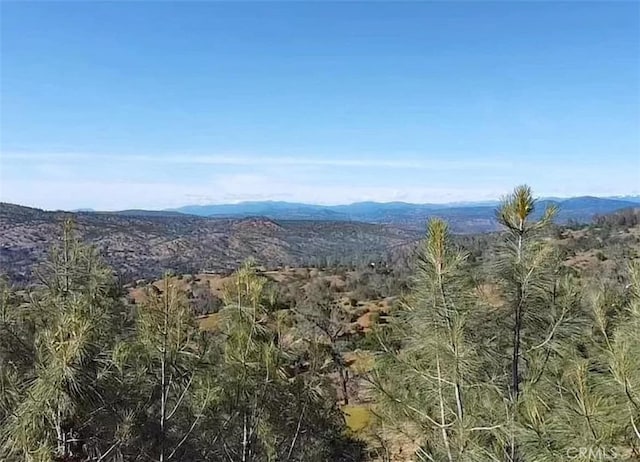 29777 Lilley Mountain Ct, Coarsegold, CA 93614 - photo 10