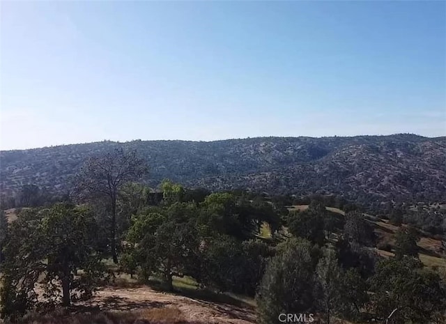 29777 Lilley Mountain Ct, Coarsegold, CA 93614 - photo 12