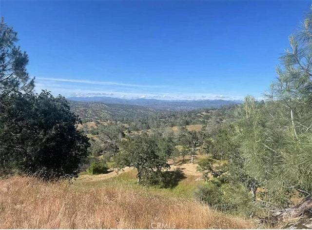 29777 Lilley Mountain Ct, Coarsegold, CA 93614 - photo 24