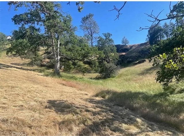 29777 Lilley Mountain Ct, Coarsegold, CA 93614 - photo 21