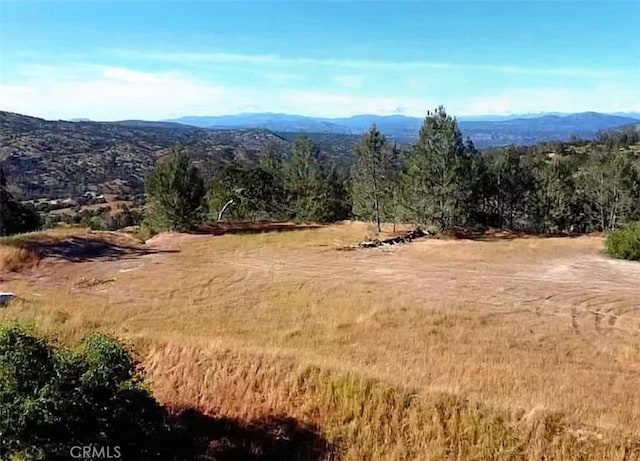 29777 Lilley Mountain Ct, Coarsegold, CA 93614 - photo 9