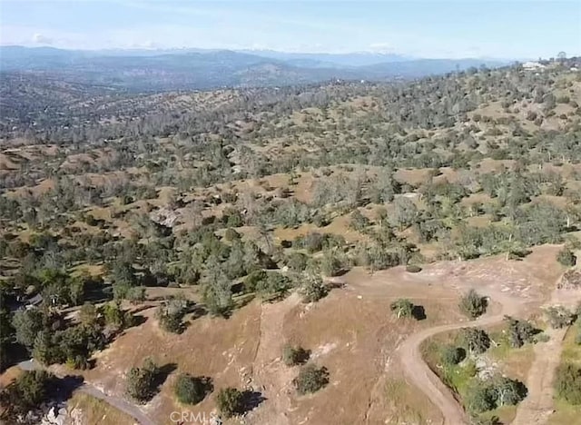 29777 Lilley Mountain Ct, Coarsegold, CA 93614 - photo 26