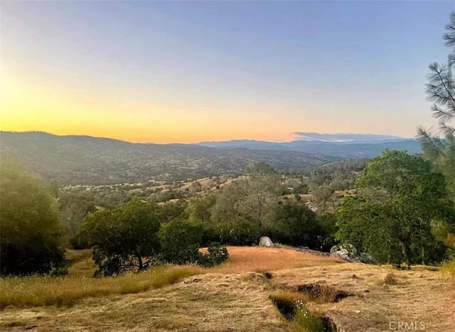 29777 Lilley Mountain Ct, Coarsegold, CA 93614 - photo 15