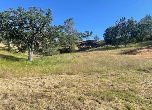 29777 Lilley Mountain Ct, Coarsegold, CA 93614 - photo 22