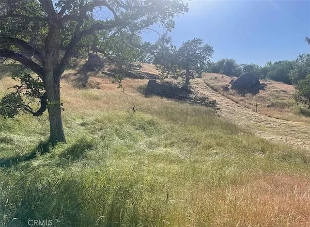 29777 Lilley Mountain Ct, Coarsegold, CA 93614 - photo 20