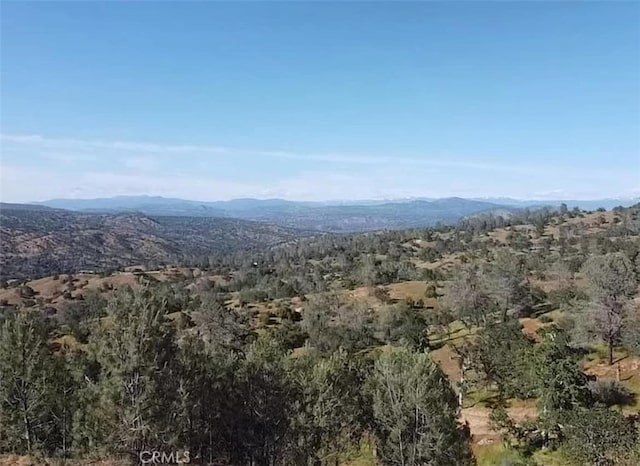 29777 Lilley Mountain Ct, Coarsegold, CA 93614 - photo 13