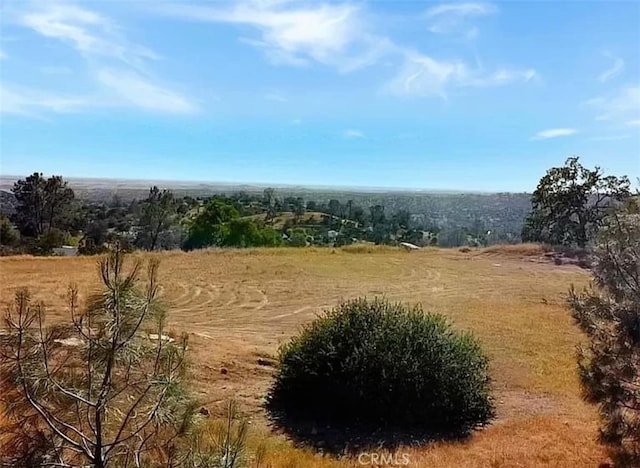 29777 Lilley Mountain Ct, Coarsegold, CA 93614 - photo 8