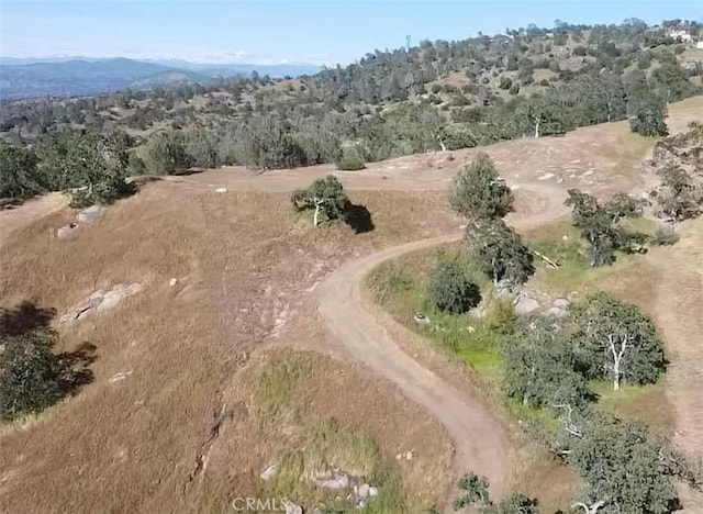 29777 Lilley Mountain Ct, Coarsegold, CA 93614 - photo 4