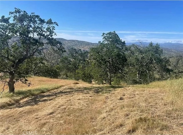 29777 Lilley Mountain Ct, Coarsegold, CA 93614 - photo 17