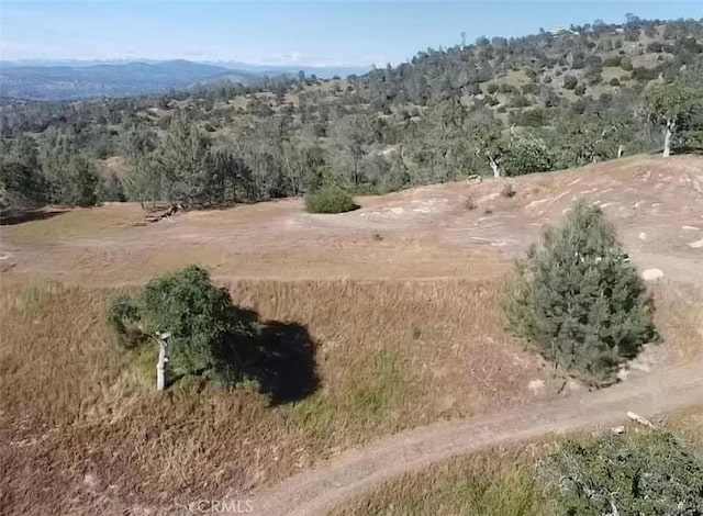 29777 Lilley Mountain Ct, Coarsegold, CA 93614 - photo 6