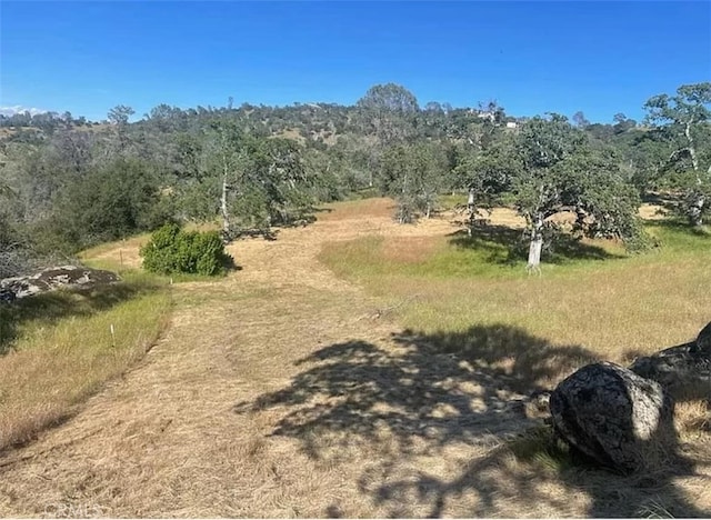 29777 Lilley Mountain Ct, Coarsegold, CA 93614 - photo 23