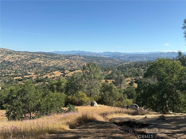 29777 Lilley Mountain Ct, Coarsegold, CA 93614 - photo 2