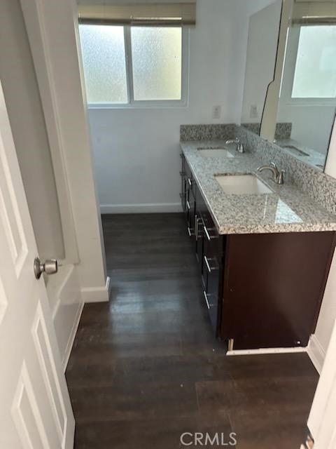 bathroom featuring hardwood / wood-style flooring and vanity