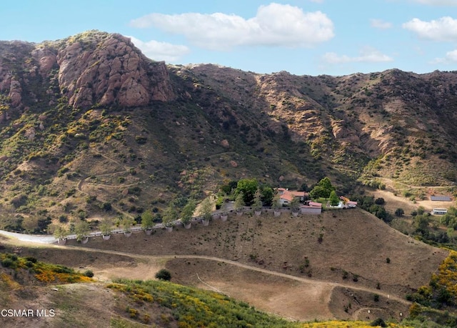 view of mountain feature